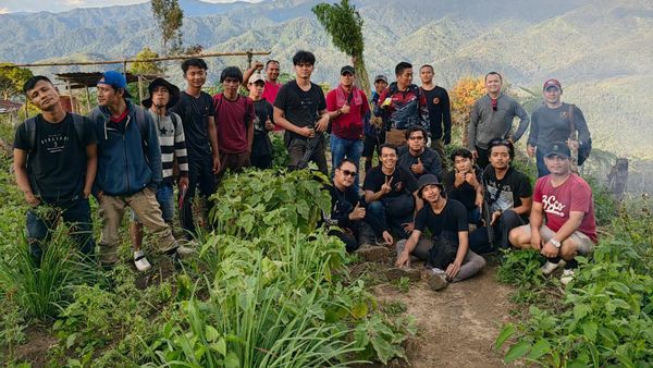 Potret Ladang Ganja 11 Hektare di Sumut yang Dibongkar Polisi