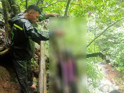 Pria ODGJ Tewas Gantung Diri di Pohon Kopi