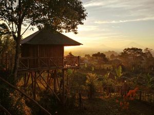 5 Hotel Rp 200 Ribuan di Puncak Bedugul Bali, Tahun Baru Bareng Keluarga 5 Hotel Rp 200 Ribuan di Puncak Bedugul Bali, Tahun Baru Bareng Keluarga