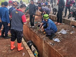 Kuda Terperosok ke Drainase Sedalam 2 M, Evakuasi Jadi Tontonan Warga Depok