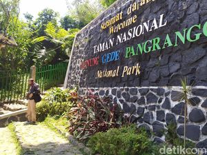 Kabar Gembira, Pendakian Gunung Gede Pangrango Kembali Dibuka! Kabar Gembira, Pendakian Gunung Gede Pangrango Kembali Dibuka!