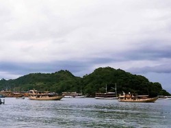 Ditelantarkan Agen Travel Nakal, Turis Kapok ke Labuan Bajo