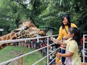 Pengunjung Kebun Binatang Surabaya Membludak Saat Libur Natal