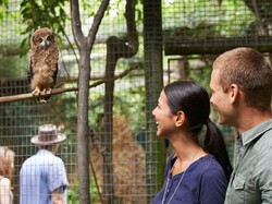 Wanita Ini Ceritakan Kencan Terburuk di Kebun Binatang, Cowoknya Gak Modal!