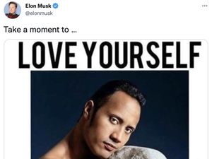 Kumpulan Meme yang Disukai Elon Musk Sepanjang 2022