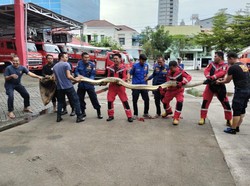 Ngeri! Ular Piton 8 Meter Masuk Rumah Warga di Makassar Bikin Geger