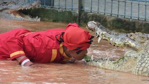 Libur Natal Mau Kemana? Lihat Nih Aksi Pawang Buaya di Bekasi
