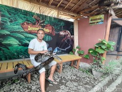 Bosan dengan Pantai? Yuk Main Bareng Reptil di Zeround Edupark