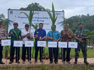 BRI Life Tanam Pohon di Gunung Kidul