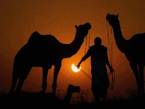 13 Fenomena Alam di 2022, Nestapa Warga Dunia Dihantam Pemanasan Global