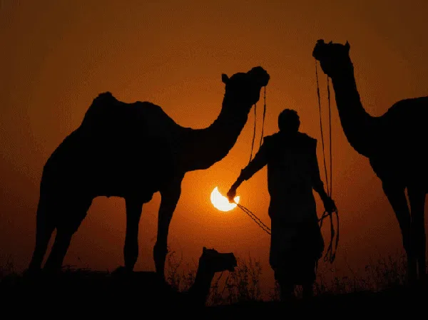 13 Fenomena Alam di 2022, Nestapa Warga Dunia Dihantam Pemanasan Global