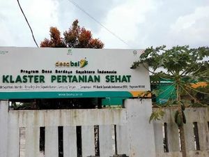 Dorong Desa Berdaya Lewat Pertanian Ramah Lingkungan