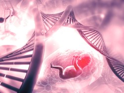 Benarkah Bayi Sudah Mengenal Bahasa Sejak dalam Kandungan?