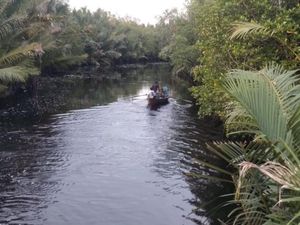 Lagi, Pekerja Bongkar Muat Sagu di Meranti Tewas Diterkam Buaya Lagi, Pekerja Bongkar Muat Sagu di Meranti Tewas Diterkam Buaya
