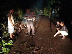 Pemuda Karangasem Tewas Usai Tabrak Pohon Tumbang