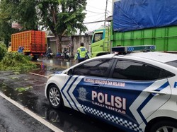 Angin Kencang Robohkan Pohon di Jalur Pantura Kota Pekalongan