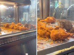 Jijik! Ada Tikus Berkeliaran di Etalase Ayam Goreng Kedai Ini