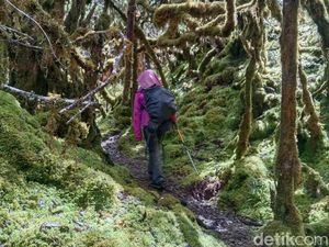 10 Tips Bertahan Hidup saat Tersesat di Gunung, Ikuti agar Bisa Selamat 10 Tips Bertahan Hidup saat Tersesat di Gunung, Ikuti agar Bisa Selamat