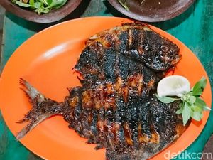 Ikan Bakar di Warung Alika Probolinggo Ini Super Sedap, Bumbunya Meresap Ikan Bakar di Warung Alika Probolinggo Ini Super Sedap, Bumbunya Meresap