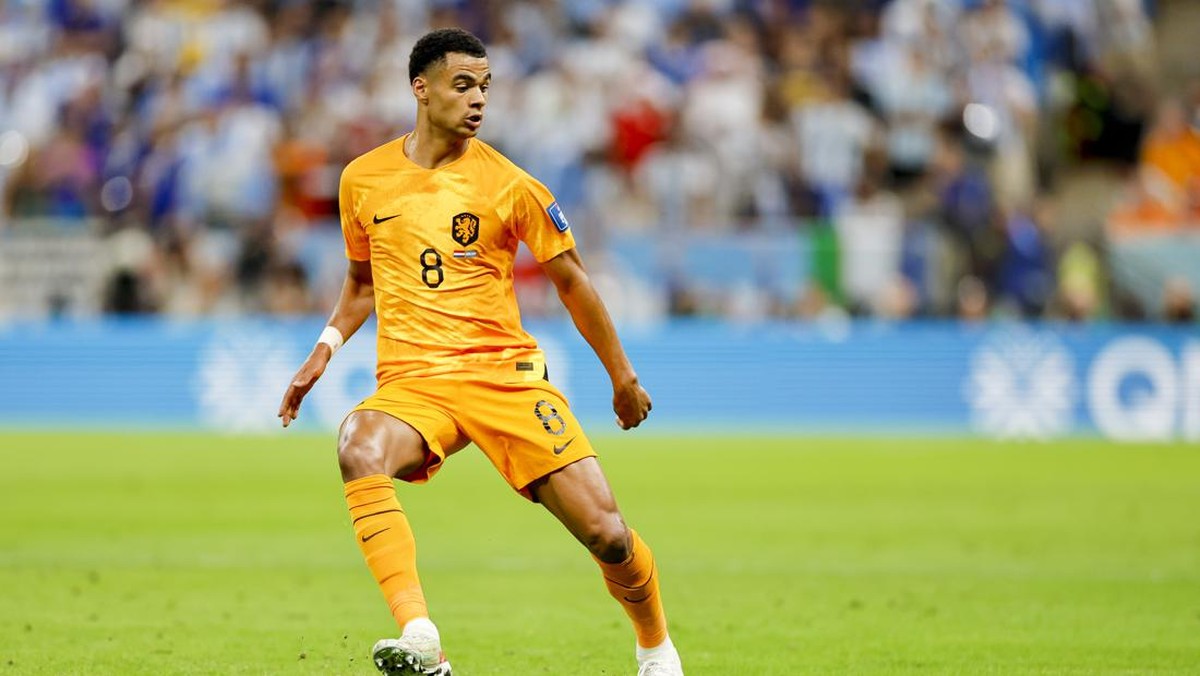 Cody Gakpo selangkah lagi resmi jadi pemain Liverpool. (Foto: DeFodi Images via Getty Images/DeFodi Images)