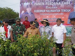 Bangun Ketahanan Pangan Palangka Raya, Pemprov Kalteng Panen Perdana
