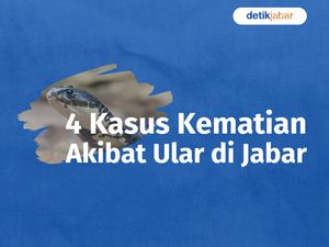 Mereka yang Meninggal Akibat Ular di Jabar Mereka yang Meninggal Akibat Ular di Jabar