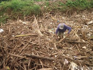 Penampakan Sungai Piji Kudus yang Tertutup Timbunan Sampah Penampakan Sungai Piji Kudus yang Tertutup Timbunan Sampah