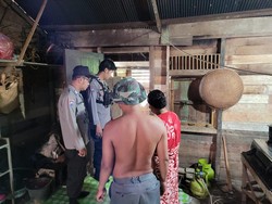 Tragis Pria Kalsel Tewas Digigit Ular Kobra yang Menyelinap ke Rumahnya