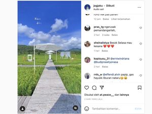 Debat Kusir Sengit Sawah Jogja Haram Jadi Tempat Instagramable Debat Kusir Sengit Sawah Jogja Haram Jadi Tempat Instagramable