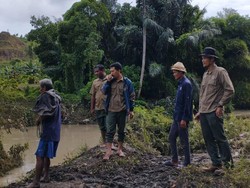 BKSDA Telusuri Informasi Penemuan 4 Ekor Buaya Muara di Lombok Tengah