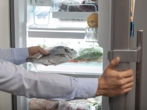 Cara Menyimpan Ikan di Kulkas Agar Awet dan Tahan Lama!