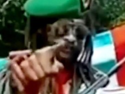 Polisi Tegaskan Klaim KKB 4 Hari Duduki Maybrat Hoax!