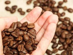 Selain Kafein, Ini 5 Zat Bioaktif yang Terkandung pada Kopi