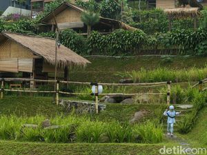 Bukan Bali, Turis RI Malah Paling Banyak Liburan ke Bogor