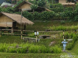 Bukan Bali, Turis RI Malah Paling Banyak Liburan ke Bogor