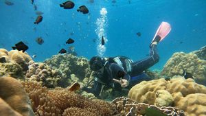 Menikmati Keindahan Bawah Laut Pulau Rubiah Aceh