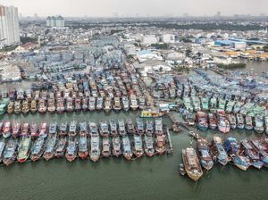 Menyadari Besarnya Jasa Pencari Ikan di Hari Nelayan Nasional Menyadari Besarnya Jasa Pencari Ikan di Hari Nelayan Nasional