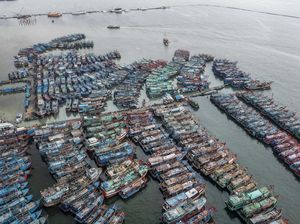 Nelayan di Muara Angke Libur Melaut Akibat Cuaca Buruk