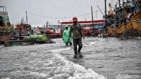Nestapa Warga Jakut, Banjir Rob Melanda di Penghujung Tahun