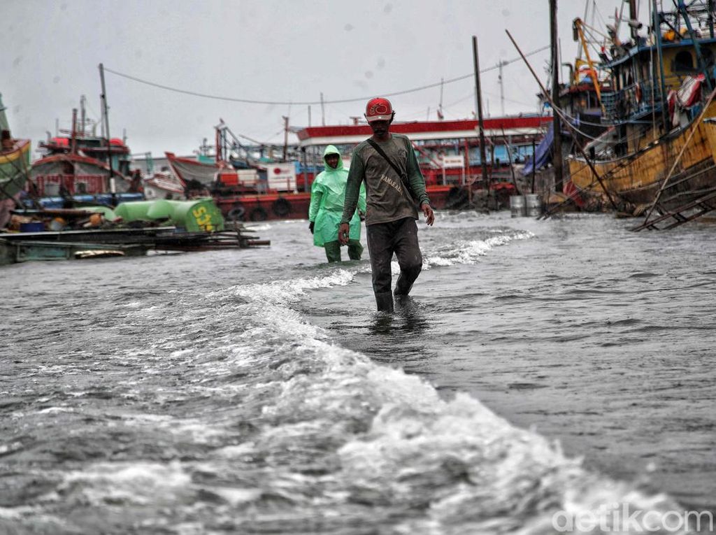 Nestapa Warga Jakut, Banjir Rob Melanda di Penghujung Tahun