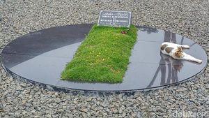 Makam Eril dan Kucing yang Menjaga