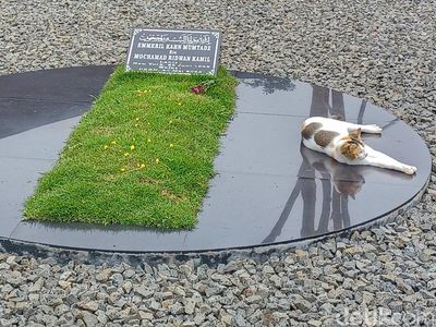 Makam Eril dan Kucing yang Menjaga
