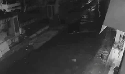 Terekam CCTV! Geger Ular Piton Masuk Permukiman Warga Sukabumi