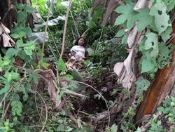 3 Fakta ABG Ditemukan Terbaring Lemas di Semak-semak Bogor