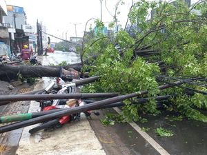 Pohon Tumbang Timpa Motor Imbas Hujan Disertai Angin Kencang di Cilegon Pohon Tumbang Timpa Motor Imbas Hujan Disertai Angin Kencang di Cilegon