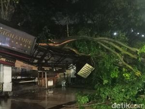 Pohon Tumbang di Jalan Pahlawan Semarang Timpa Warung