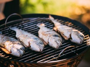 5 Jenis Ikan yang Cocok Dibakar untuk Pesta BBQ Akhir Tahun 5 Jenis Ikan yang Cocok Dibakar untuk Pesta BBQ Akhir Tahun