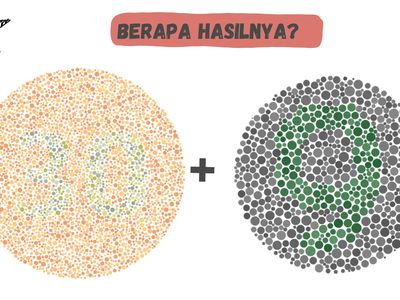 Tes Buta Warna, Bisa Jawab dari Hasil Hitung Angka Ini?