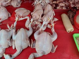Makin Dekat Tahun Baru, Harga Daging Ayam Kian Mahal