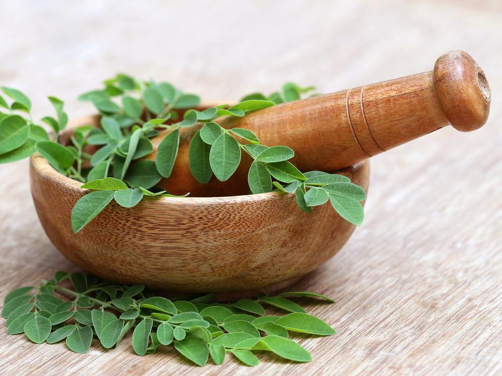 10 Manfaat Sehat Kelor, Mampu Saingi Ginseng Korea? 10 Manfaat Sehat Kelor, Mampu Saingi Ginseng Korea?